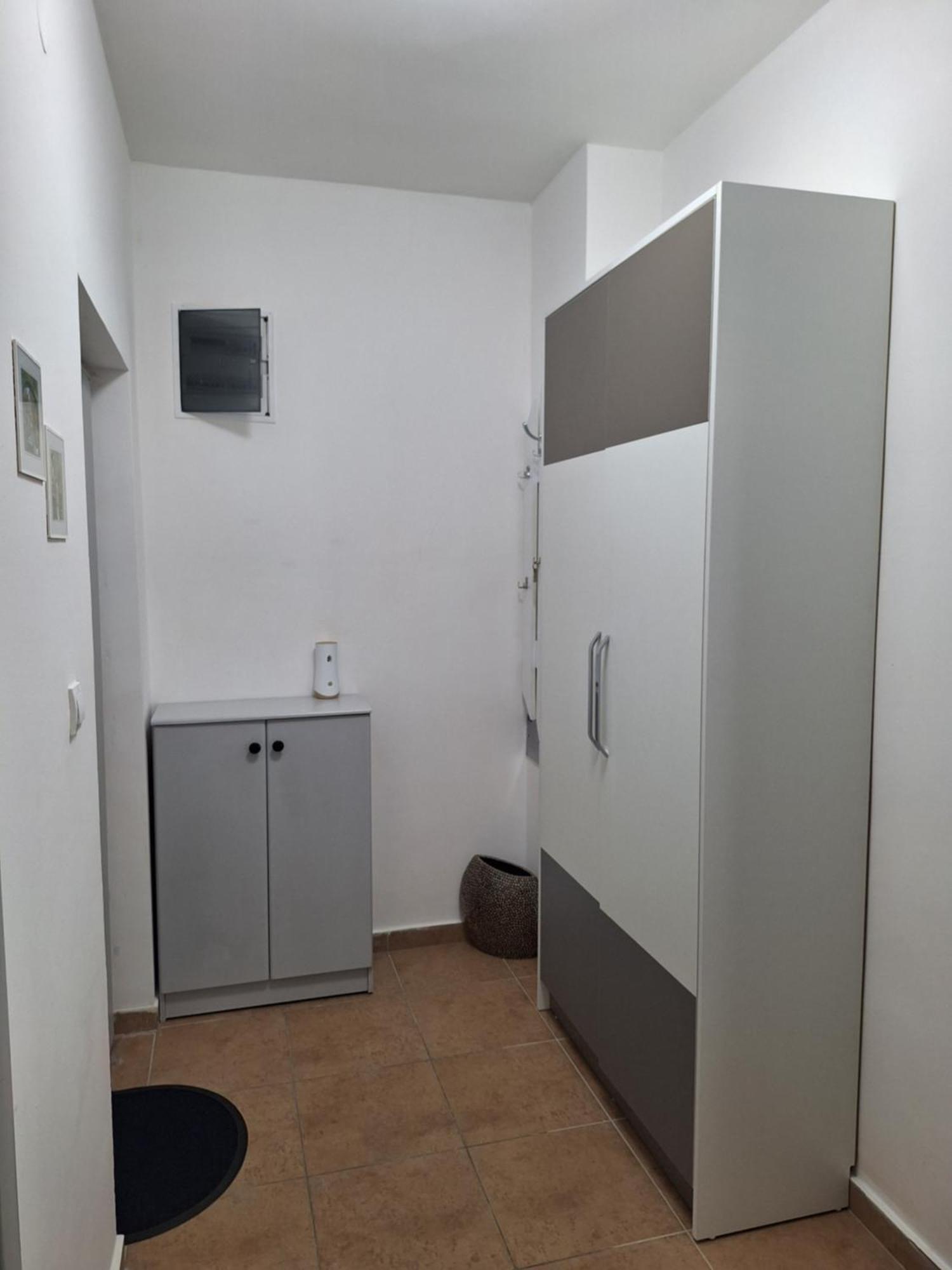 маслины Apartment